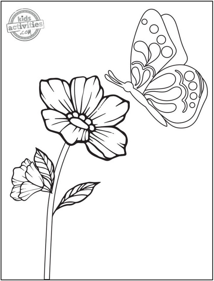 Butterfly And Flower Coloring Page