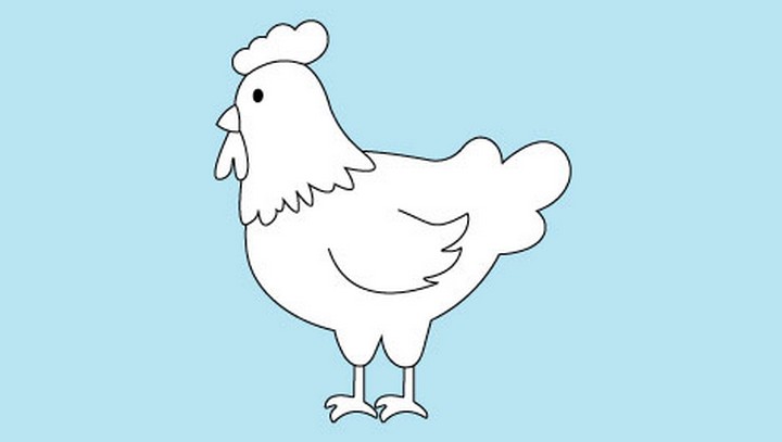 Cute Chicken Drawing For Kids