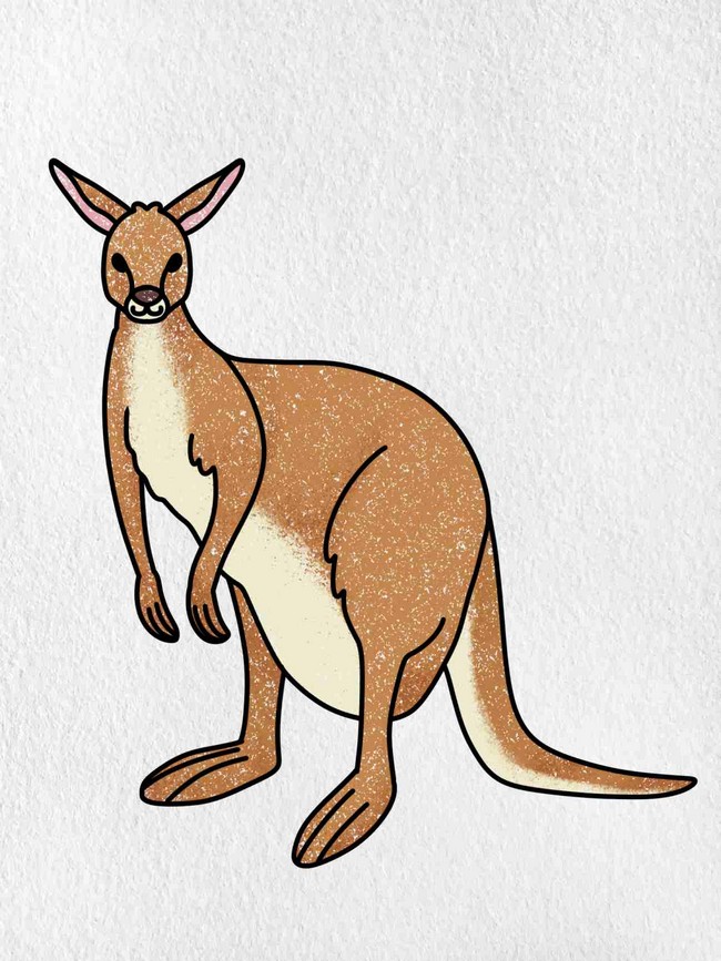 Easy Cute Kangaroo Drawings 1