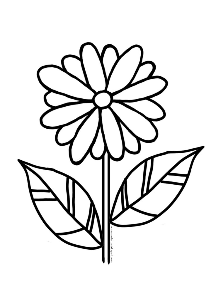 Free Flower Coloring Pages