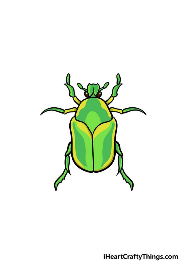 Green Bug Drawing