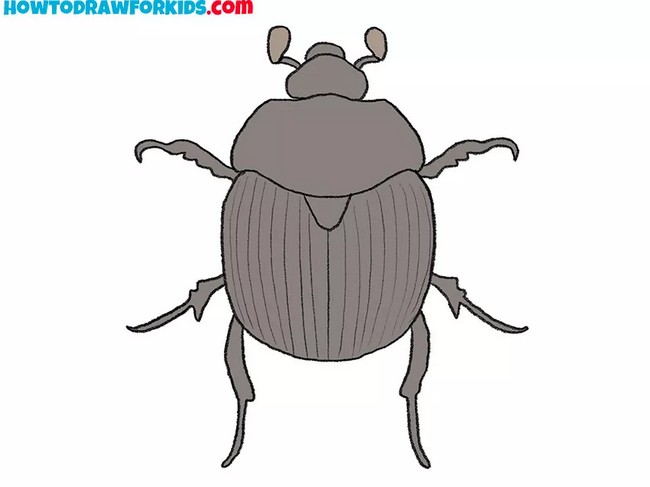 How To Draw A Beetle