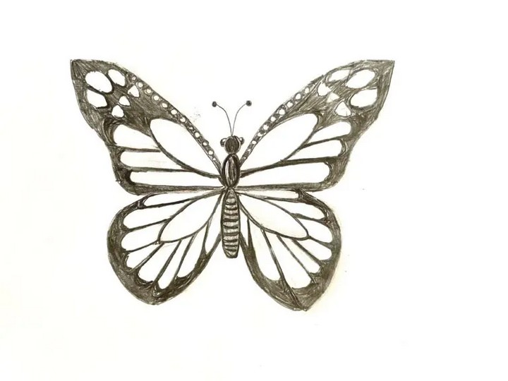 How To Draw A Butterfly Easy & Fast