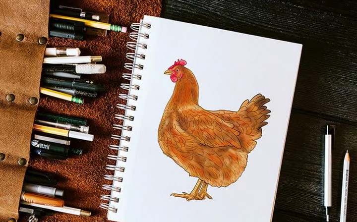 How To Draw A Cute Chicken