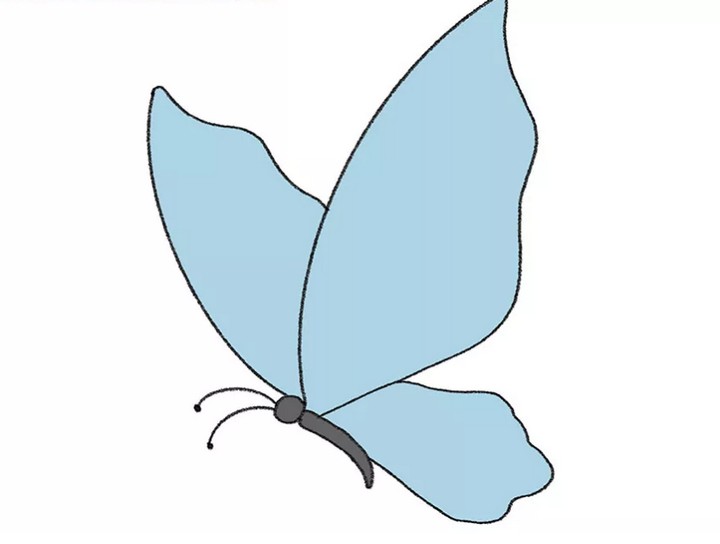 How To Draw A Flying Butterfly