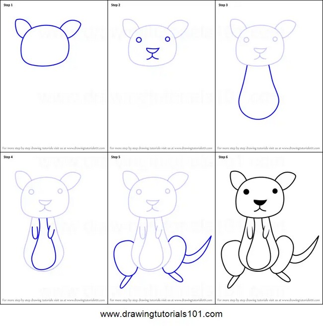 How To Draw A Kangaroo For Kids