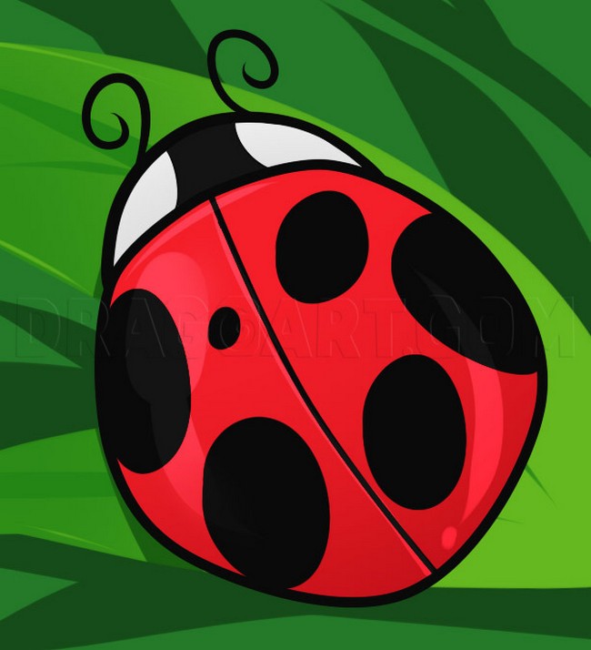 How To Draw A Ladybug For Kids