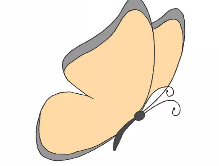 How To Draw A Simple Butterfly
