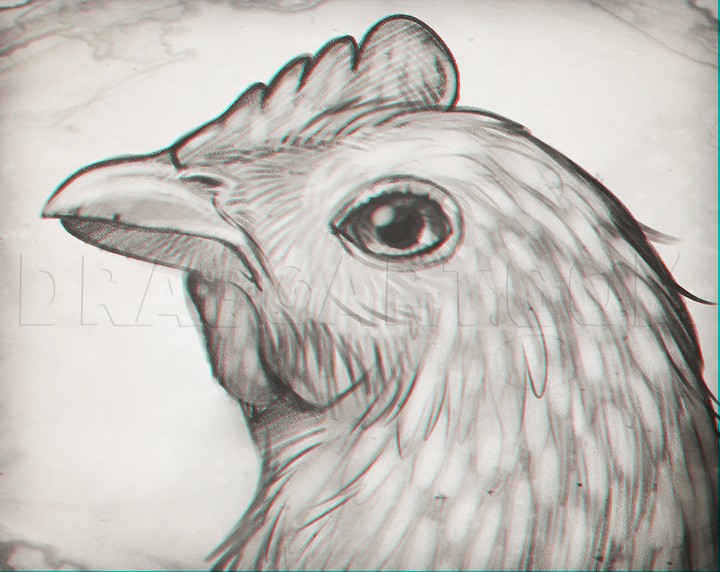 How To Sketch A Chicken