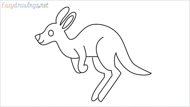 Kangaroo Drawings