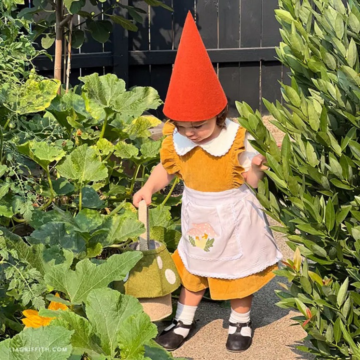 Felt Gnome Hat And Htv Apron Costume