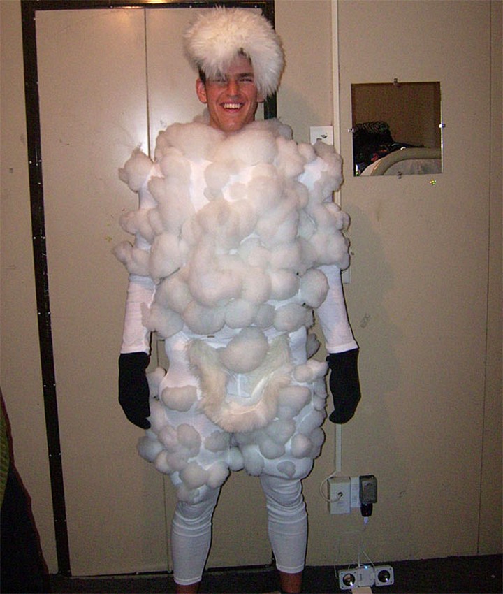 How To Make A Sheep Costumes