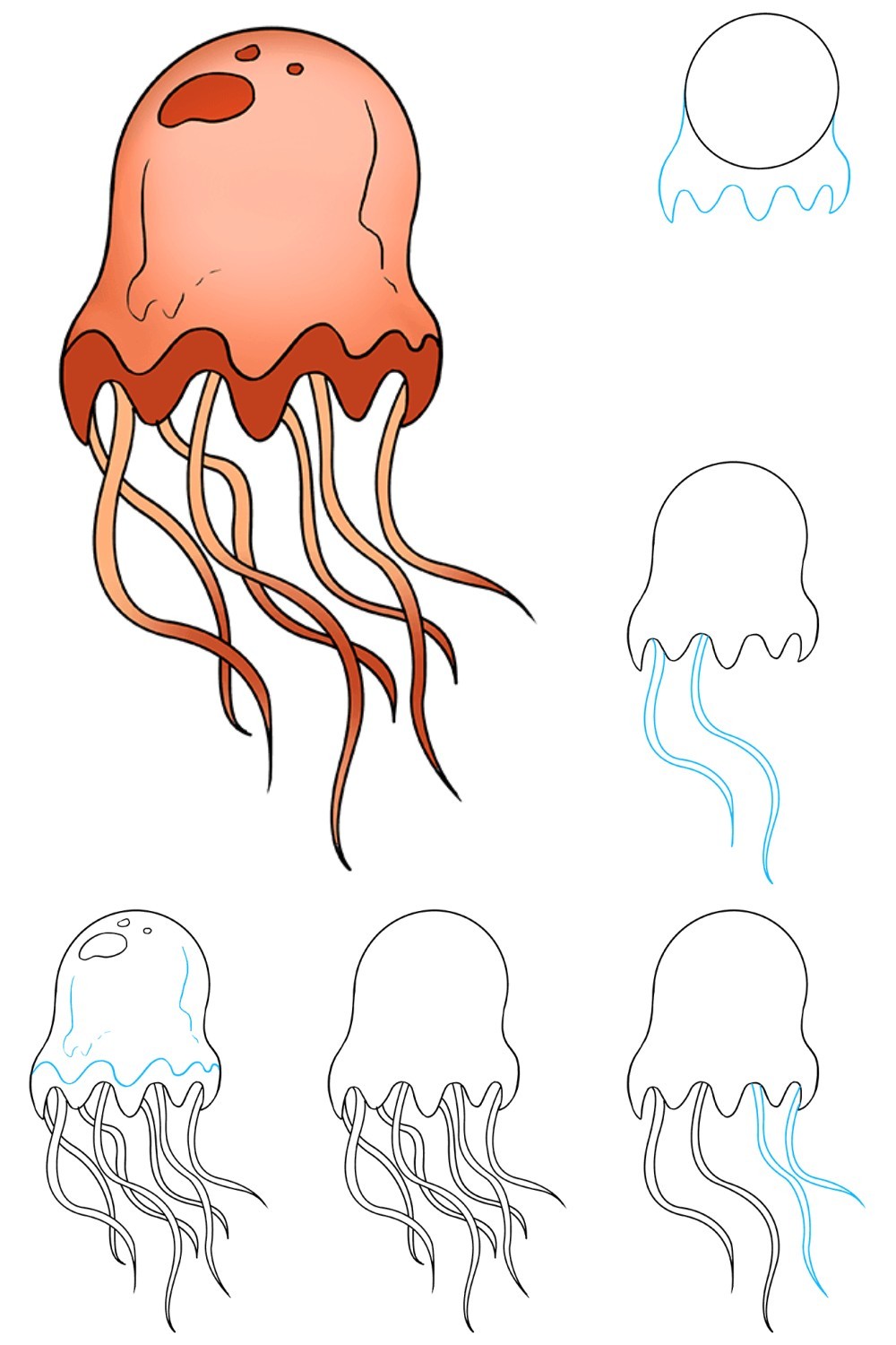 How to Draw a Jellyfish In Colors