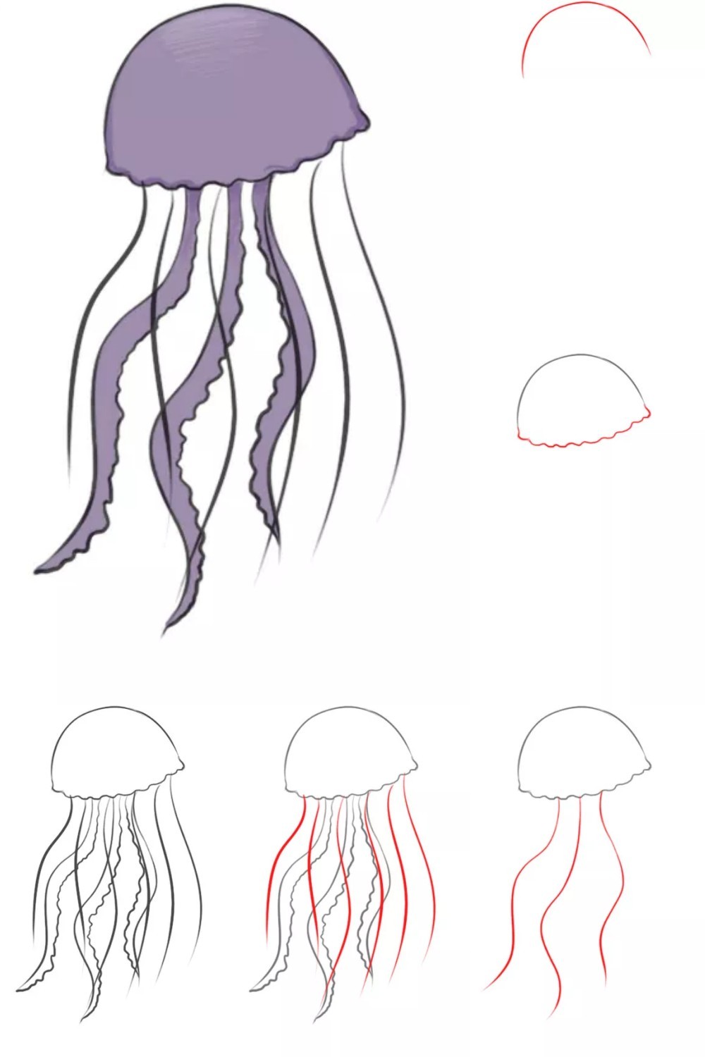 How to Draw a Jellyfish In Simple Steps