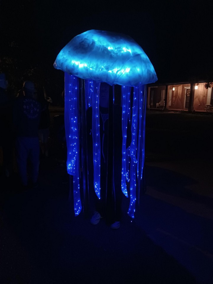 Jelly Fish Costume