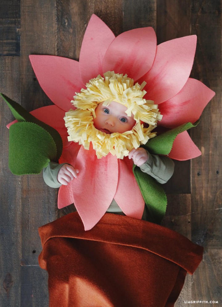 No-sew Felt Flower Baby Halloween Costume