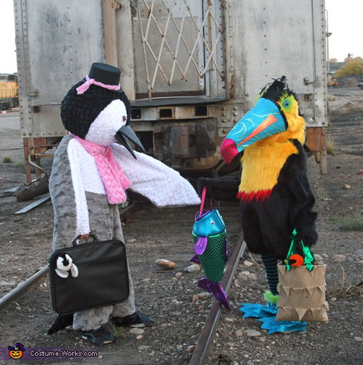 Penguin And Toucan Costume
