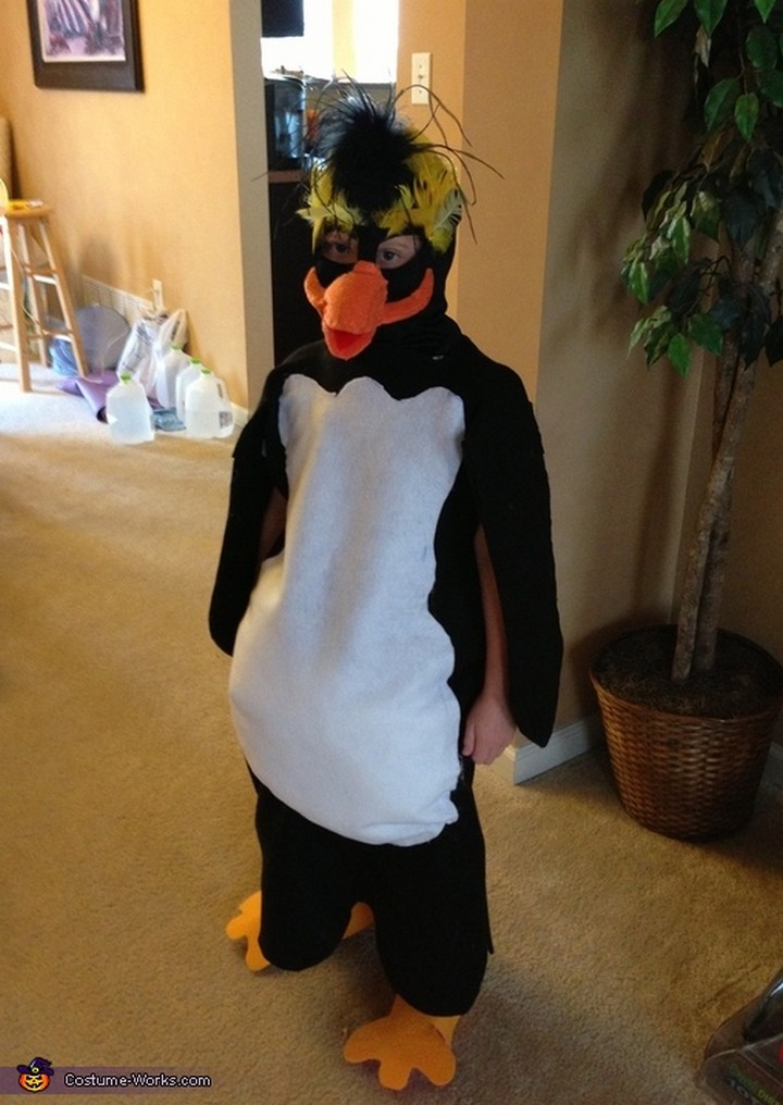 Rock Hopper Penguin Costume