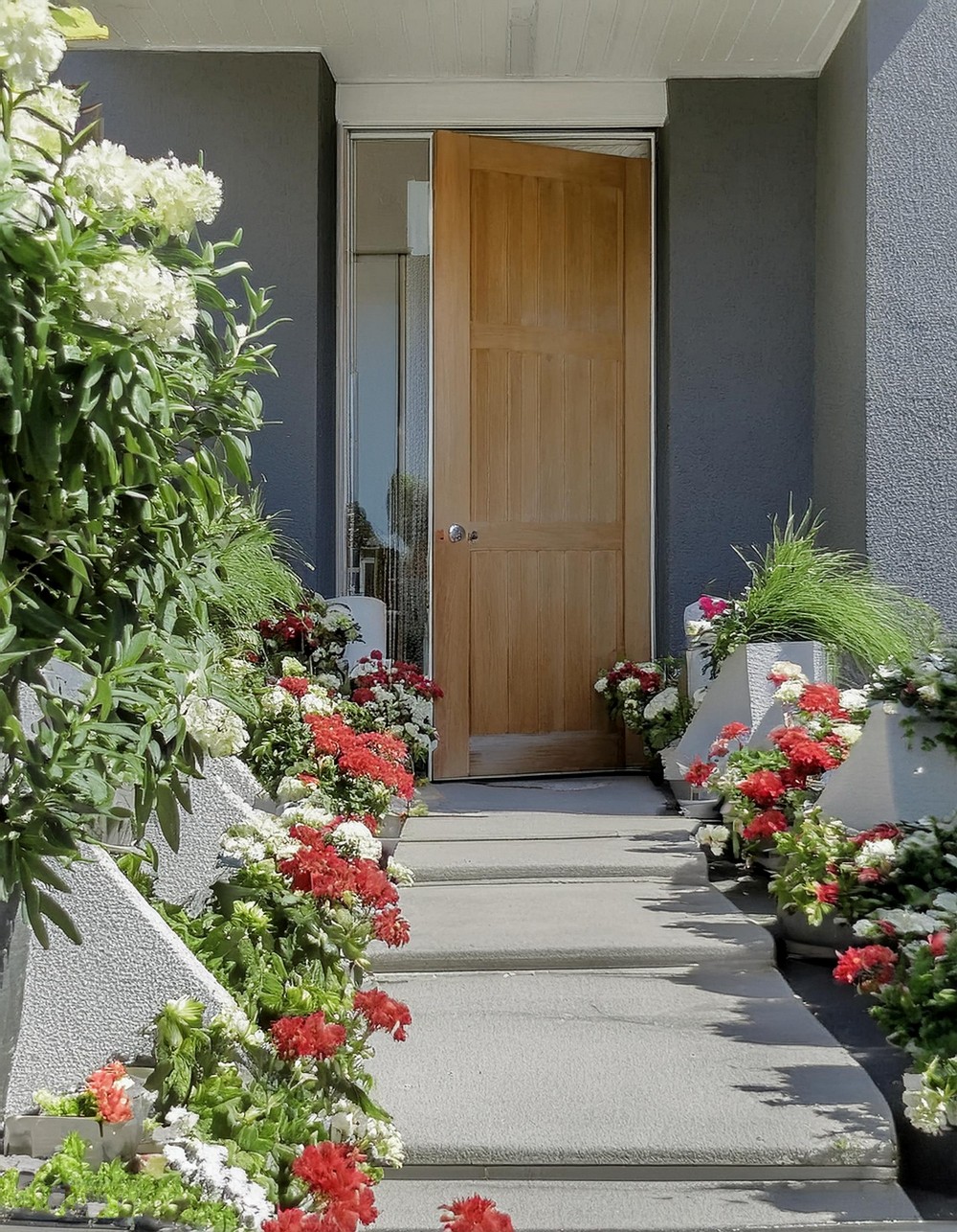 Warm Entryway With Colorful Rose